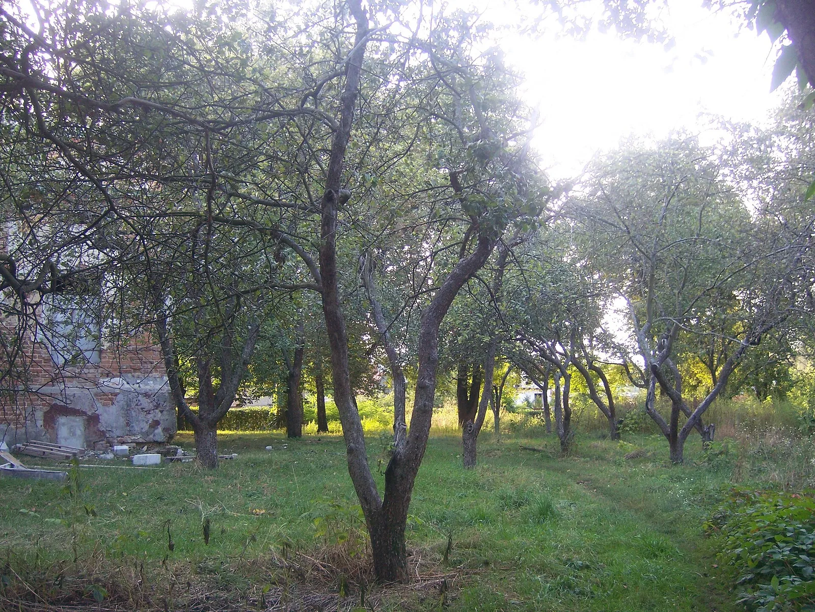 Stay at the Lintvaryovs' estate