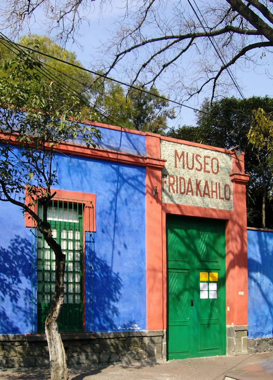 Birth in Coyoacán