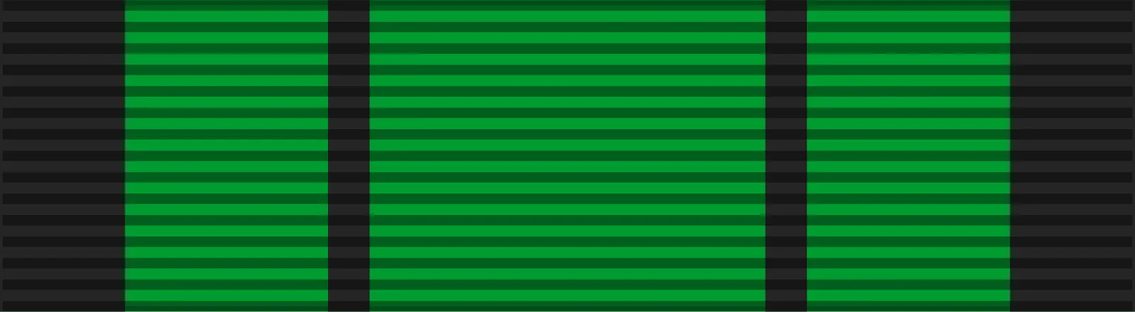 Established the Order of Liberation