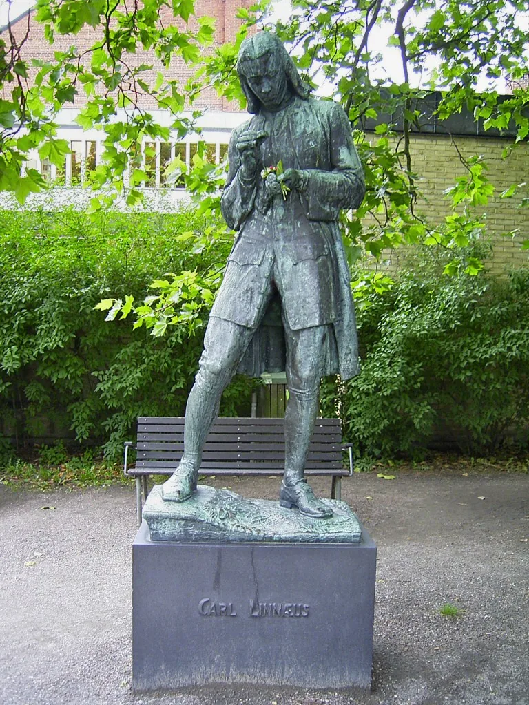 Studies at Lund University