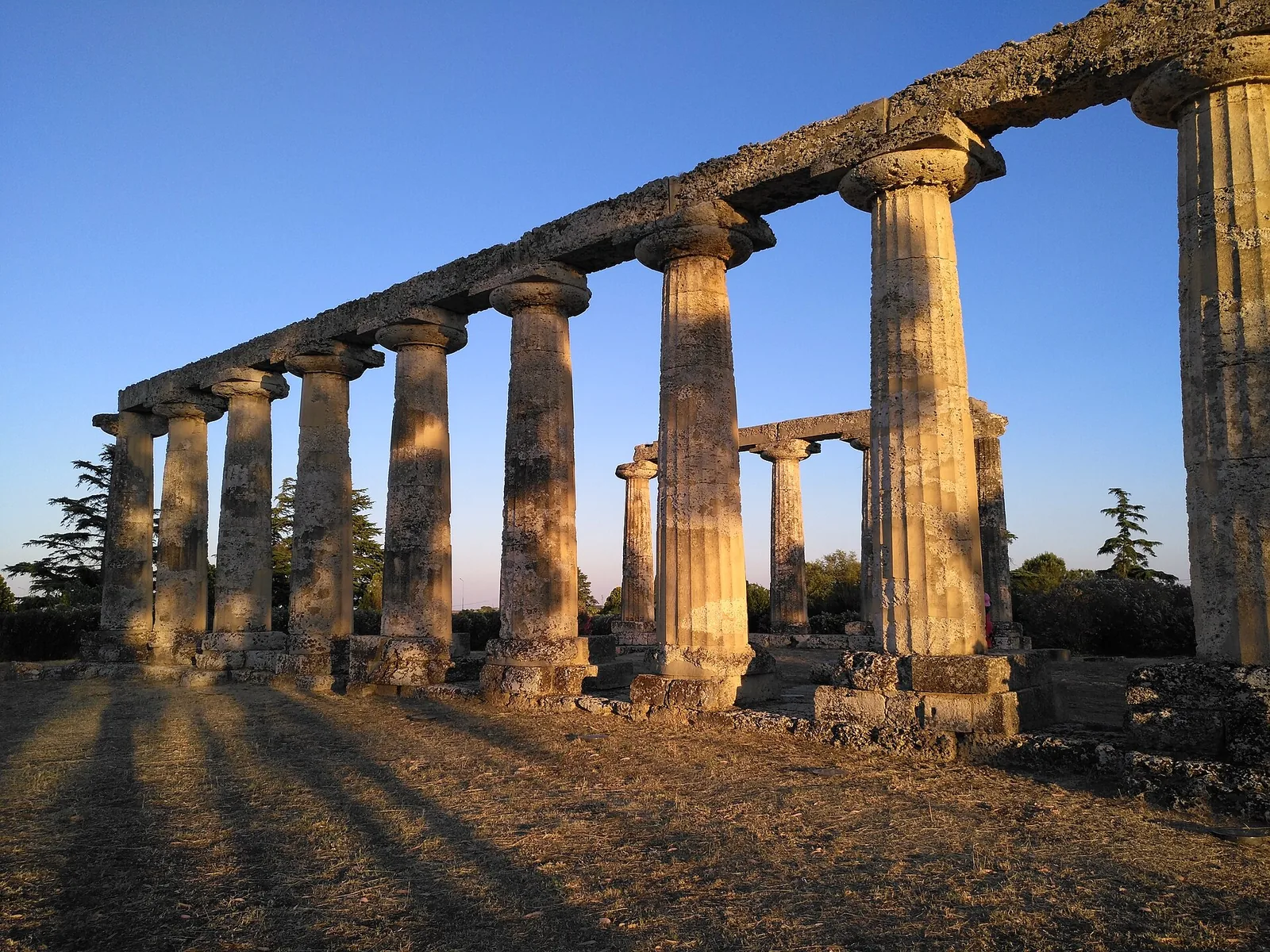 Flight to Metapontum