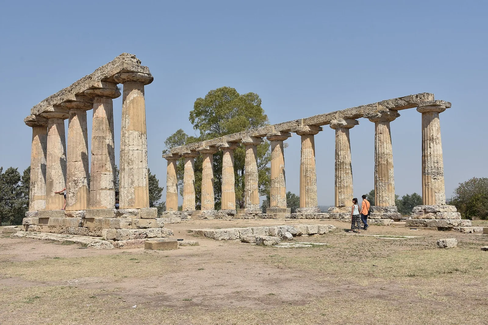 Death at Metapontum