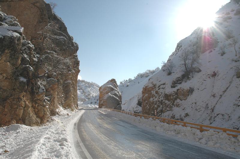 Reached Persepolis