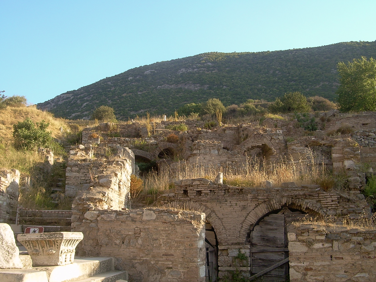 Assembled the war fleet at Ephesus
