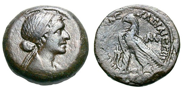 Fought for control of Alexandria