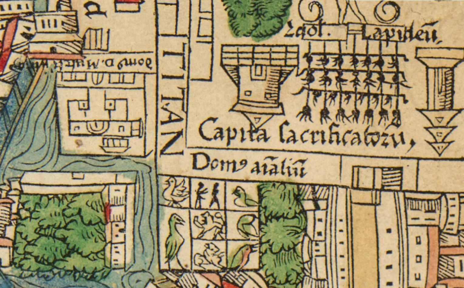 Residence at Coyoacán
