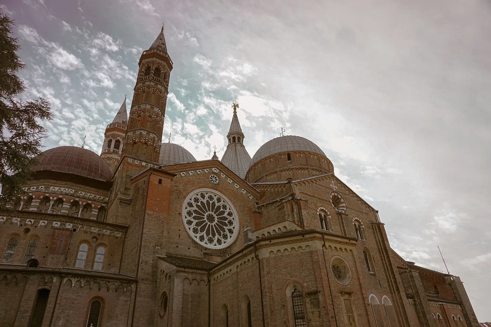 Performance at the Basilica of Saint Anthony