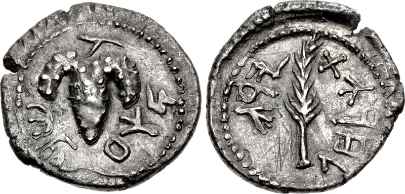 Returns to Palestine during the revolt