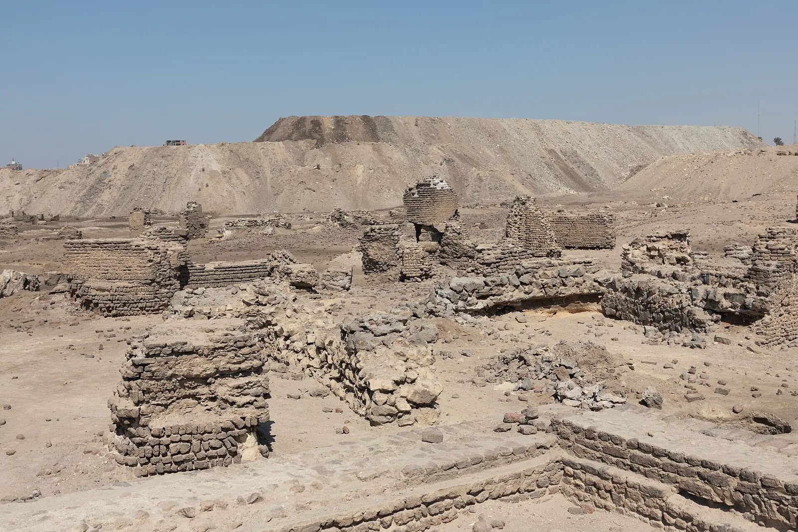 Return journey to Egypt with tax-inspector entourage