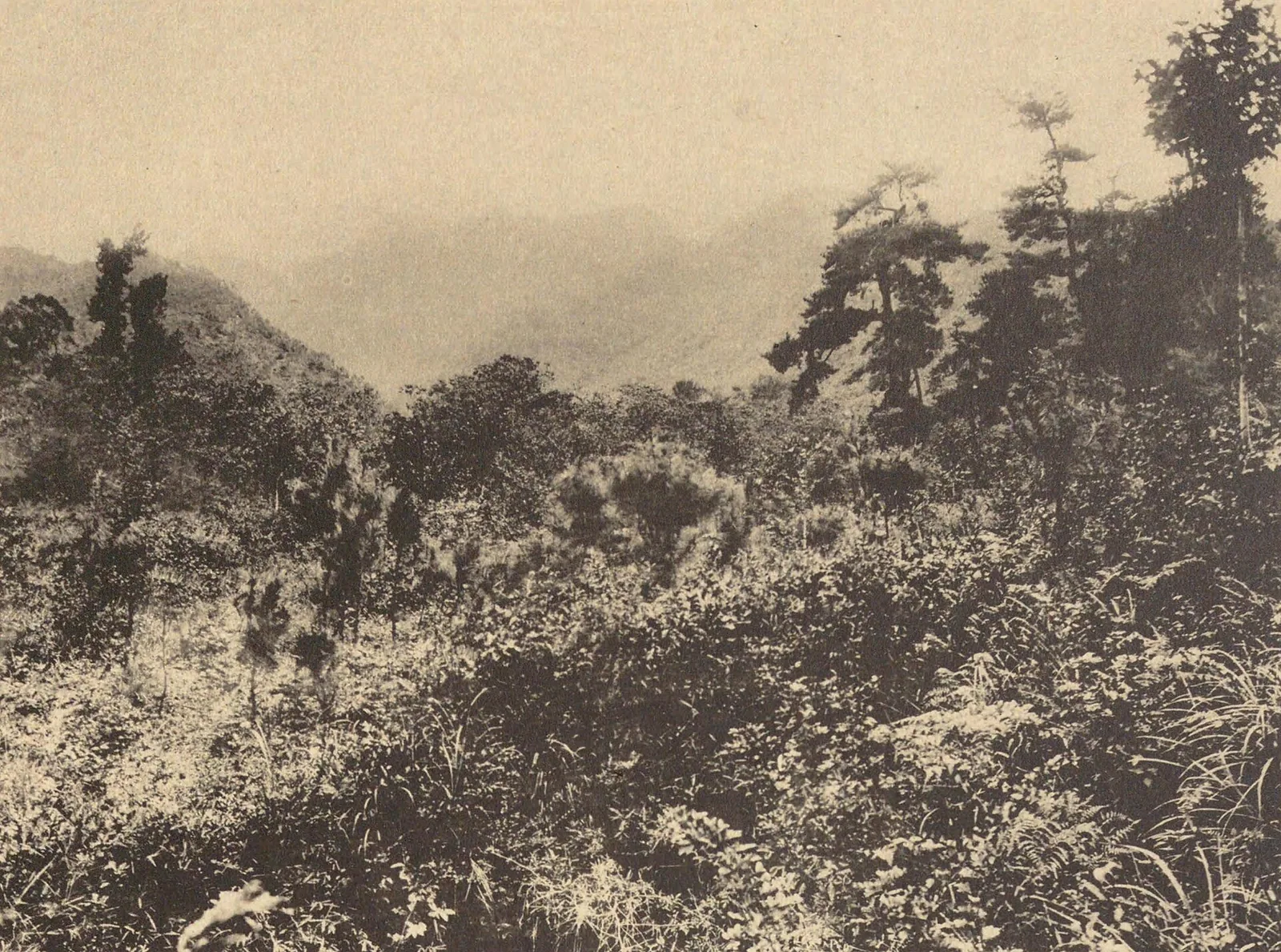 Search for Yu's burial place at Mount Xianglu