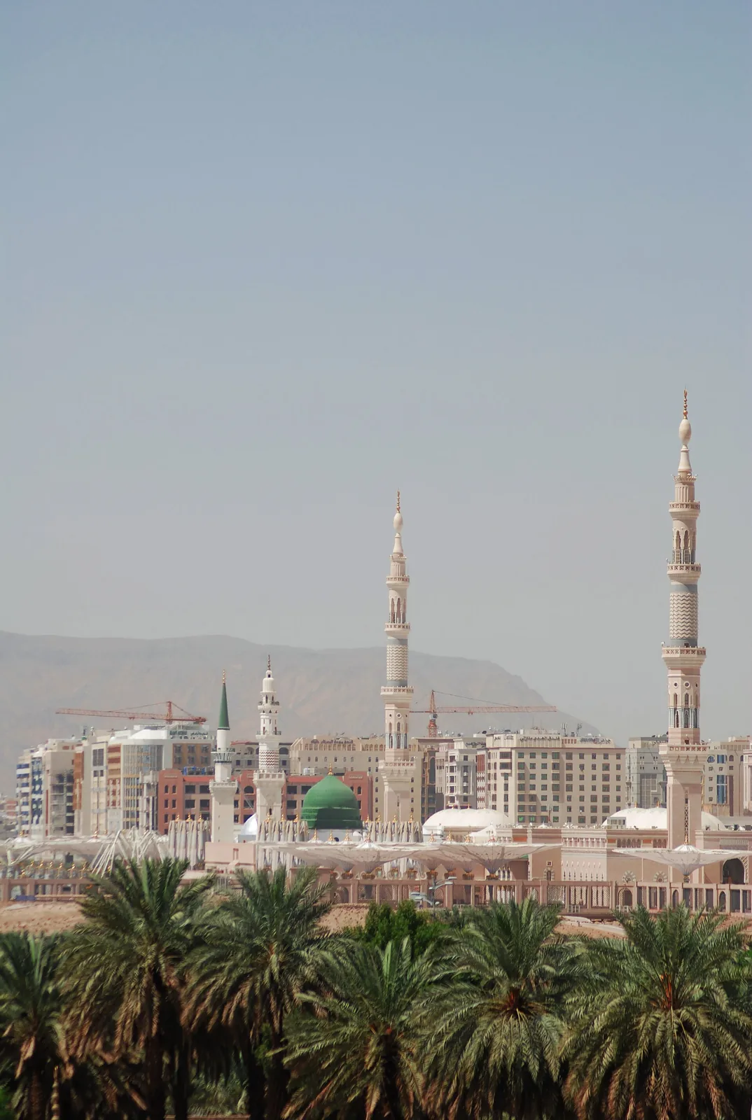 Visit to Medina