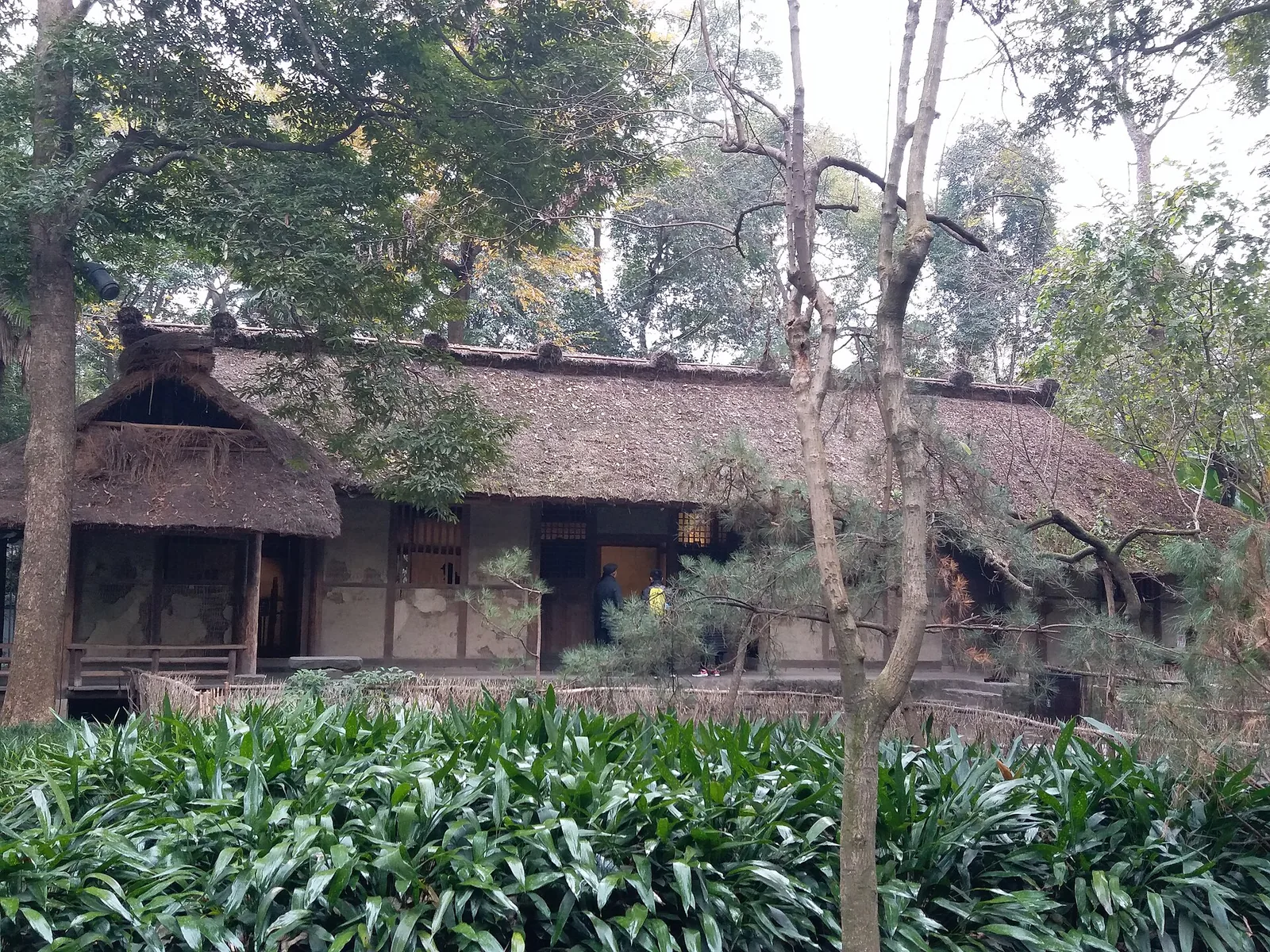 Building the Thatched Cottage