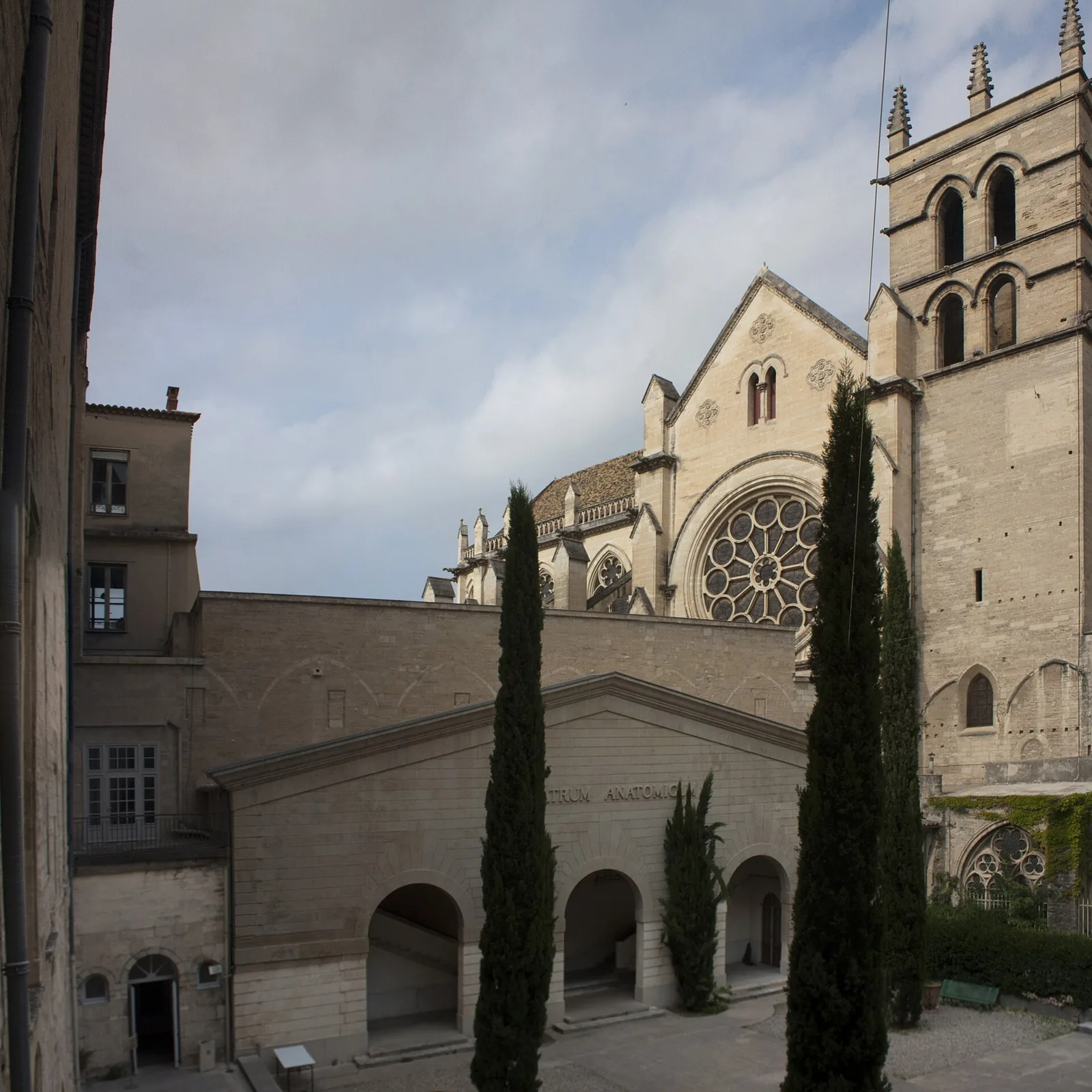 Doctorate at Montpellier