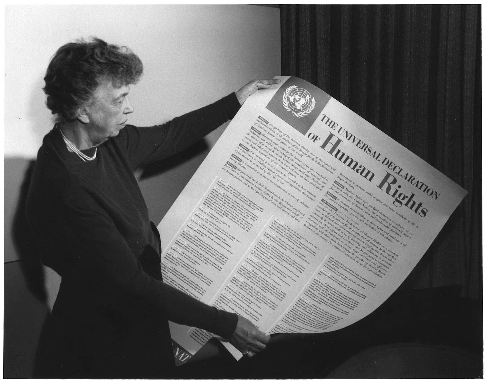 UDHR debate at Palais de Chaillot