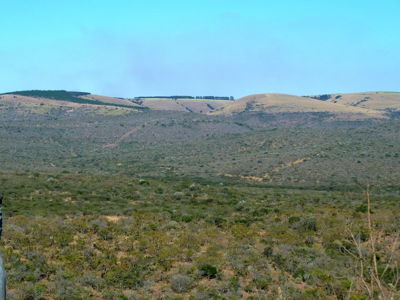 Birth in Mthonjaneni