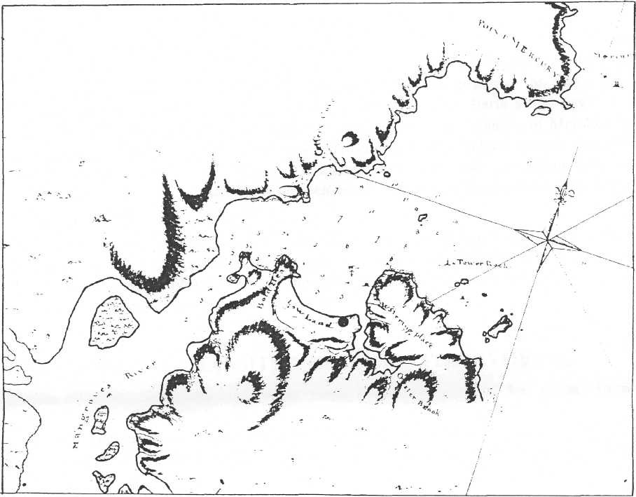 Explores Mercury Bay
