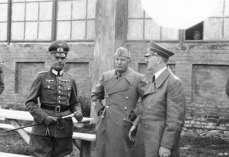 Inspects troops near Uman