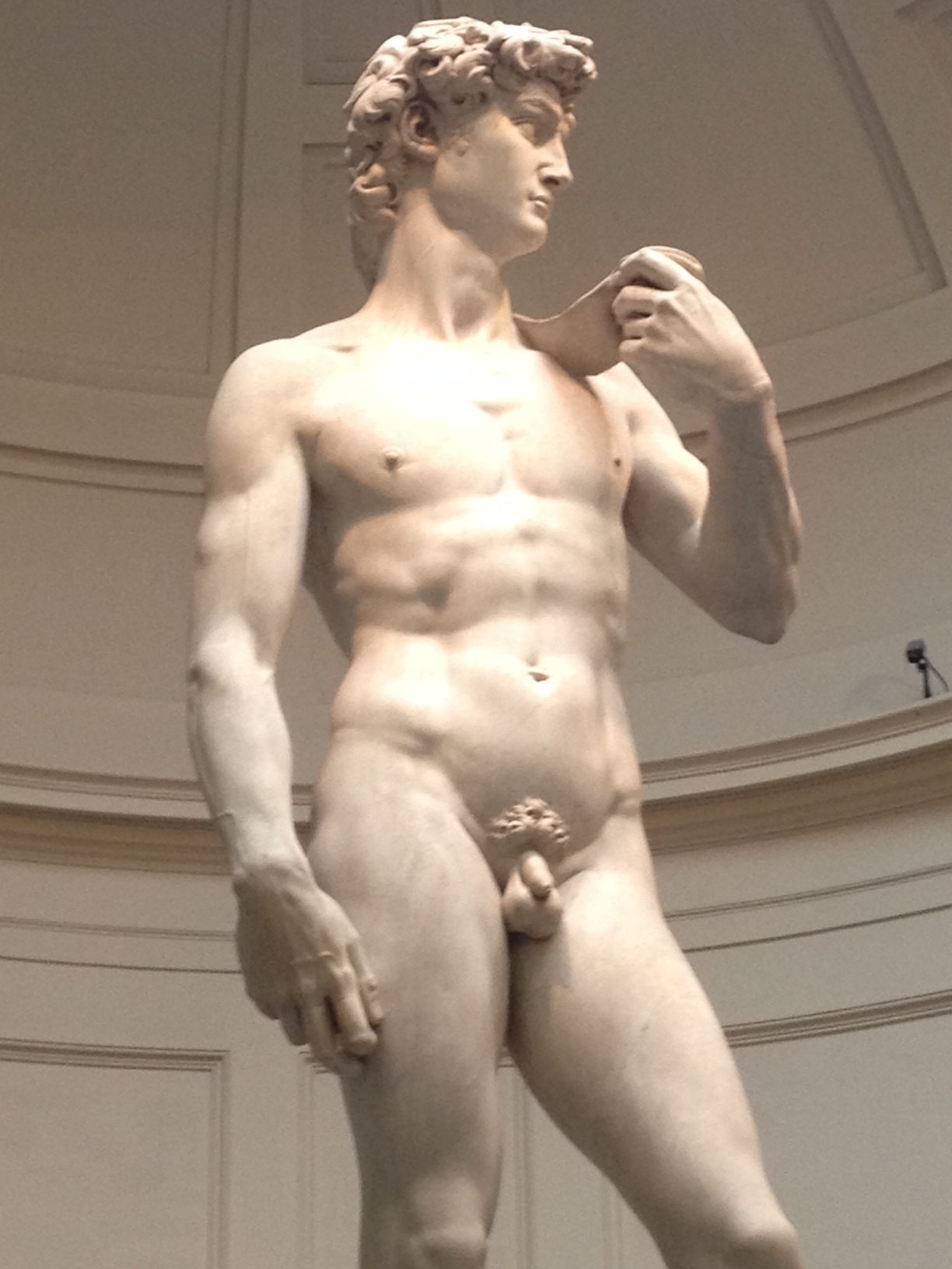 Returns from Rome to Florence