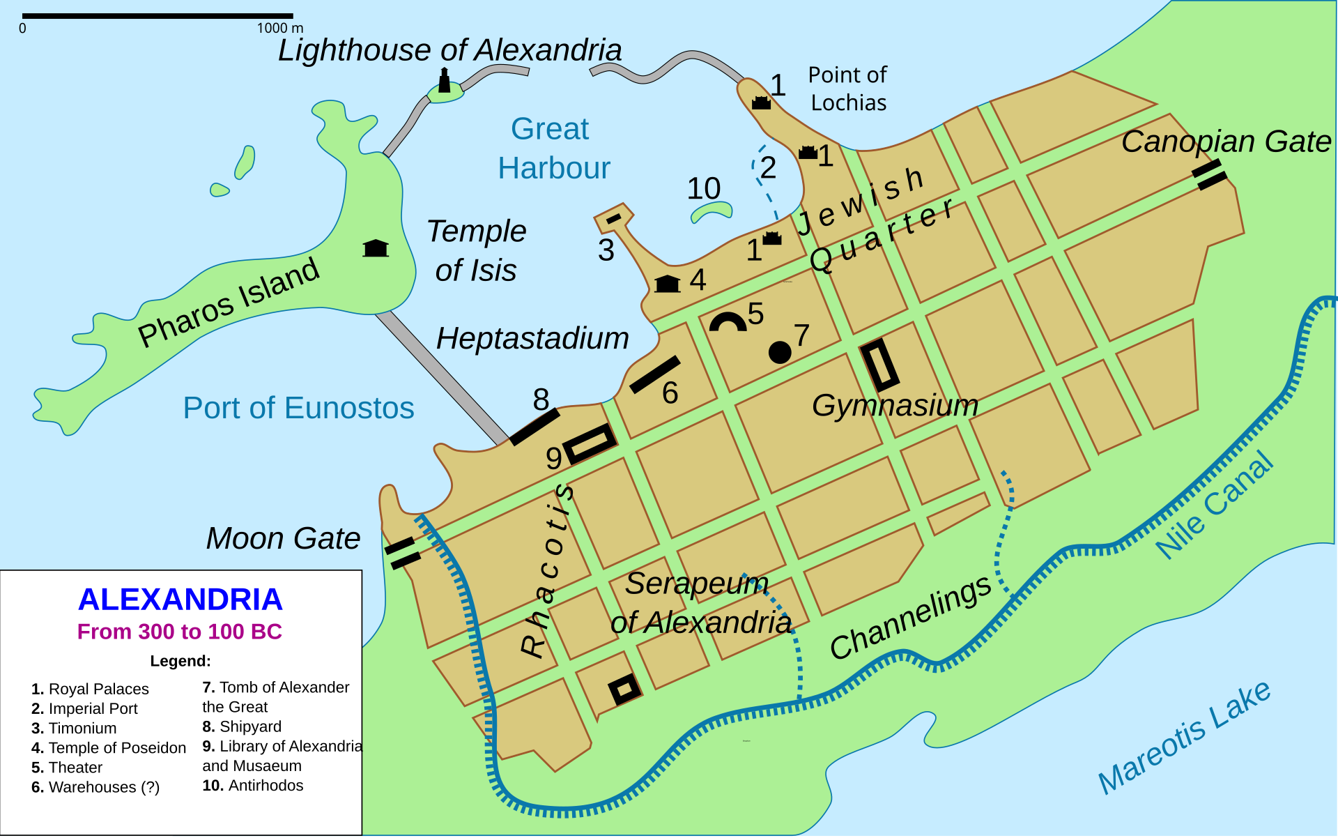 Studies in Alexandria