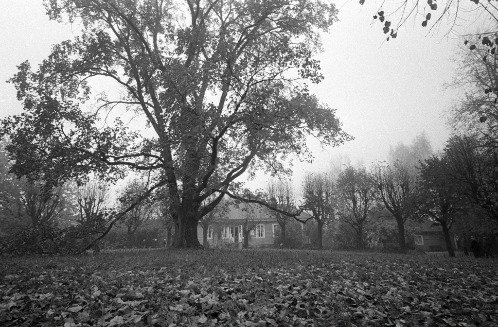 Confined at Mikhailovskoye